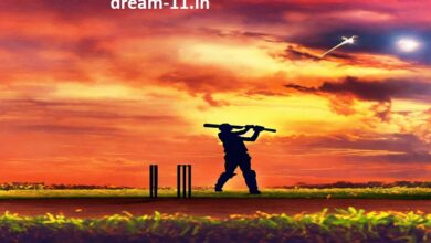 dream11 fantasy team today