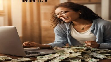 dream11 owner income per day