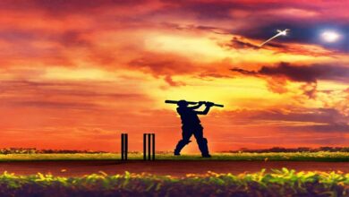 cricket meaning in hindi