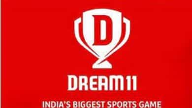 dream 11 contact number