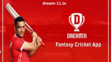 dream 11