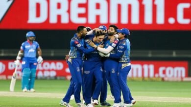dream11 ipl