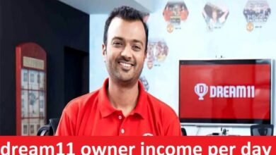 dream11 owner income per day