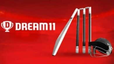 dream11 points