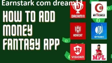 earnstark com dream11