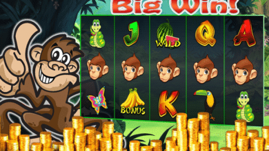 monkey app wins